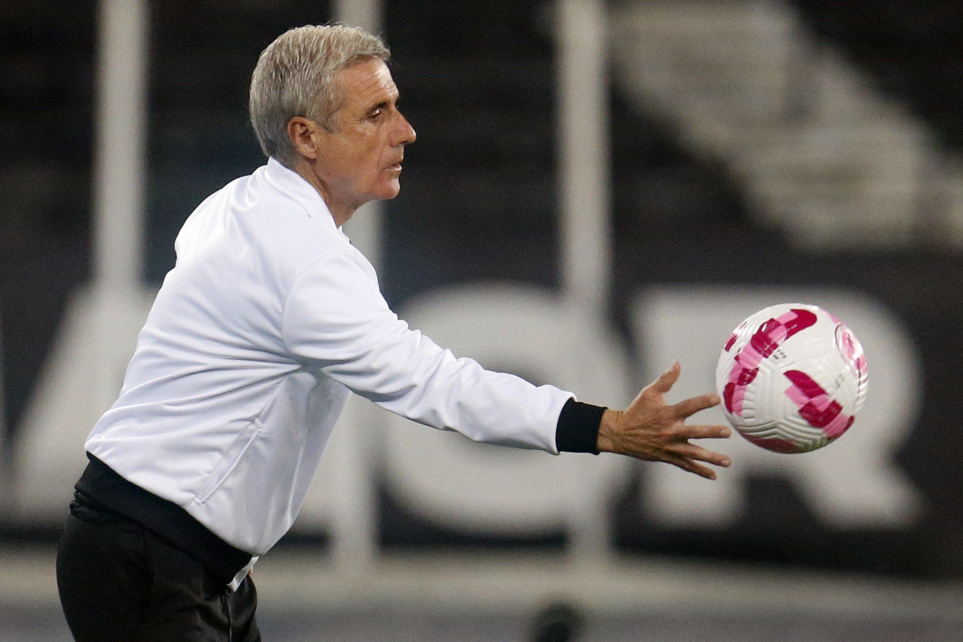 Botafogo Está Escalado Para Enfrentar O Avaí Veja O Time E Onde Assistir Ao Jogo Vsjf